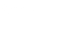 NY Spins